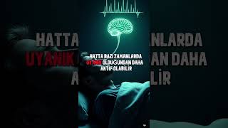 Beyniniz Size Yalan Söylüyor.