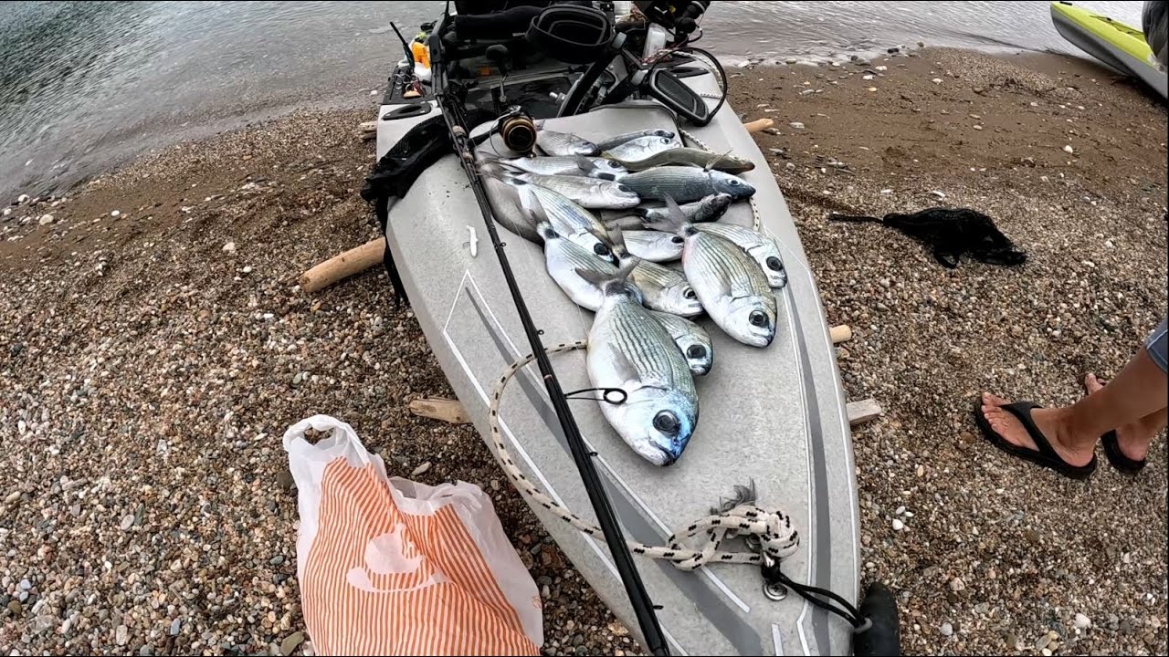 Κατι μελανουρια σημερα μονο με ενα Raglou 6,5cm