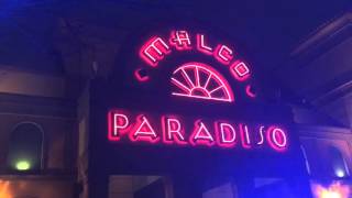 Paradiso Disturbance