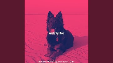 Modish Backdrops for Separation Anxiety