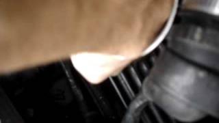 Sea Ray 230 Da Engine Oil Before Run
