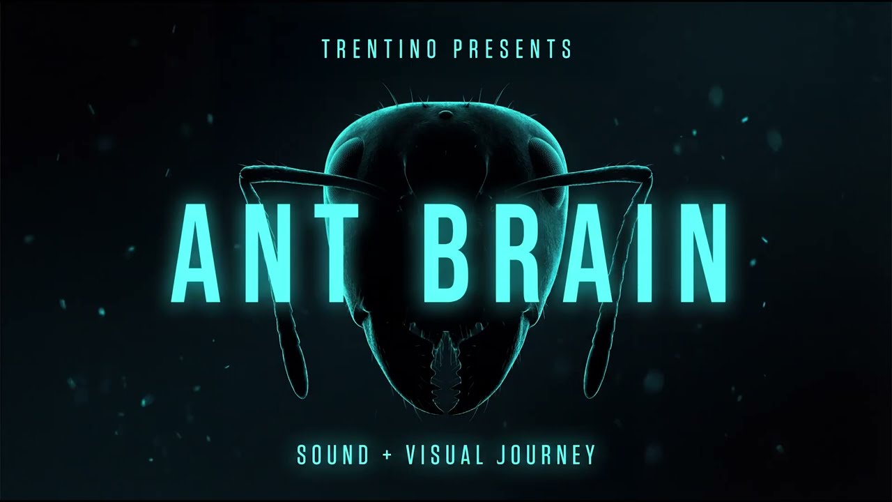 ANT BRAIN - Trentino | Official Video — Future-House x Breakbeat | Visuals: Nat Jones