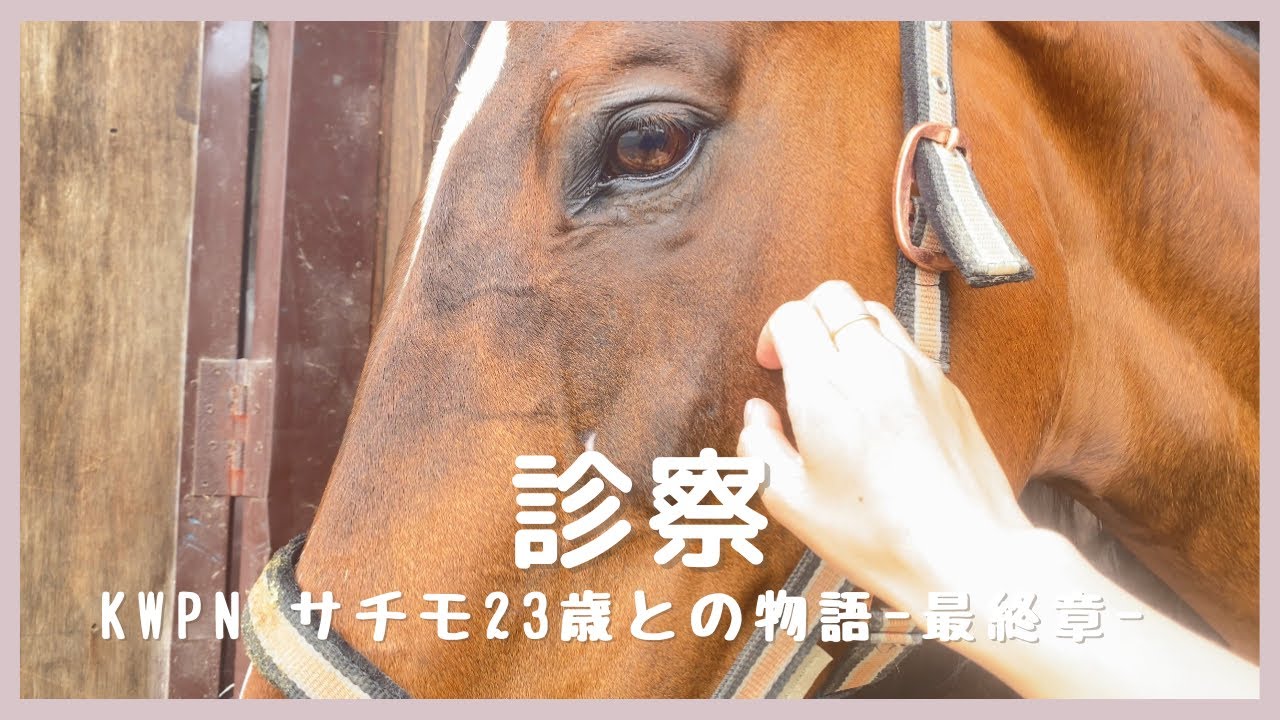かりんとう　大きさ変更有り仲良し馬さん親子♪ かりんとう 大きさ変更有り仲良し馬さん親子♪ ℝ𝕒𝕞𝕦