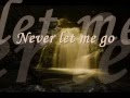 Never Let Me Go Florence And The Machine Lyrics Vampire Diaries Soundtrack 