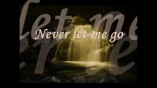 Never let me go - Florence and the machine Lyrics (Vampire Diaries Soundtrack)