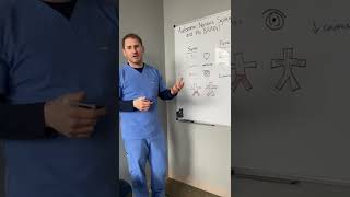 Why it’s important to improve Autonomic Nervous System function through hyperbaric oxygen therapy