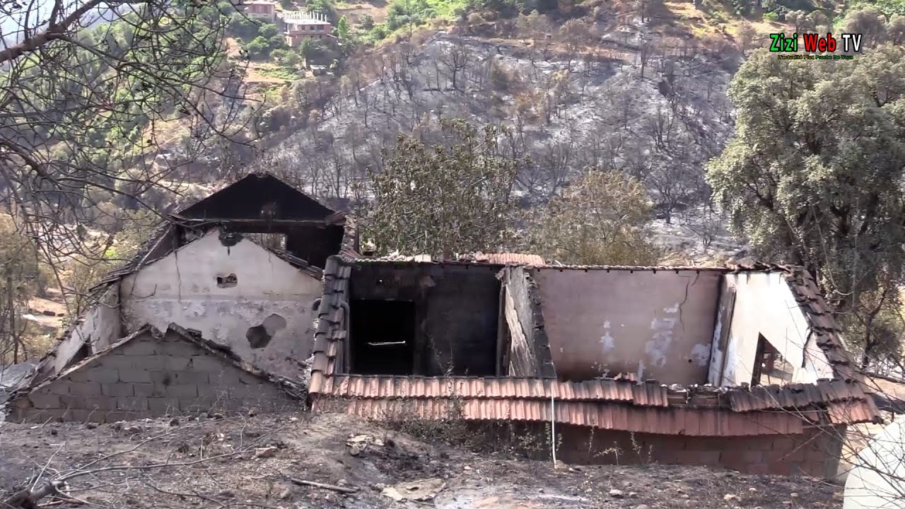 Sur Les Traces Des Feux à Timezrit à Boumerdès …