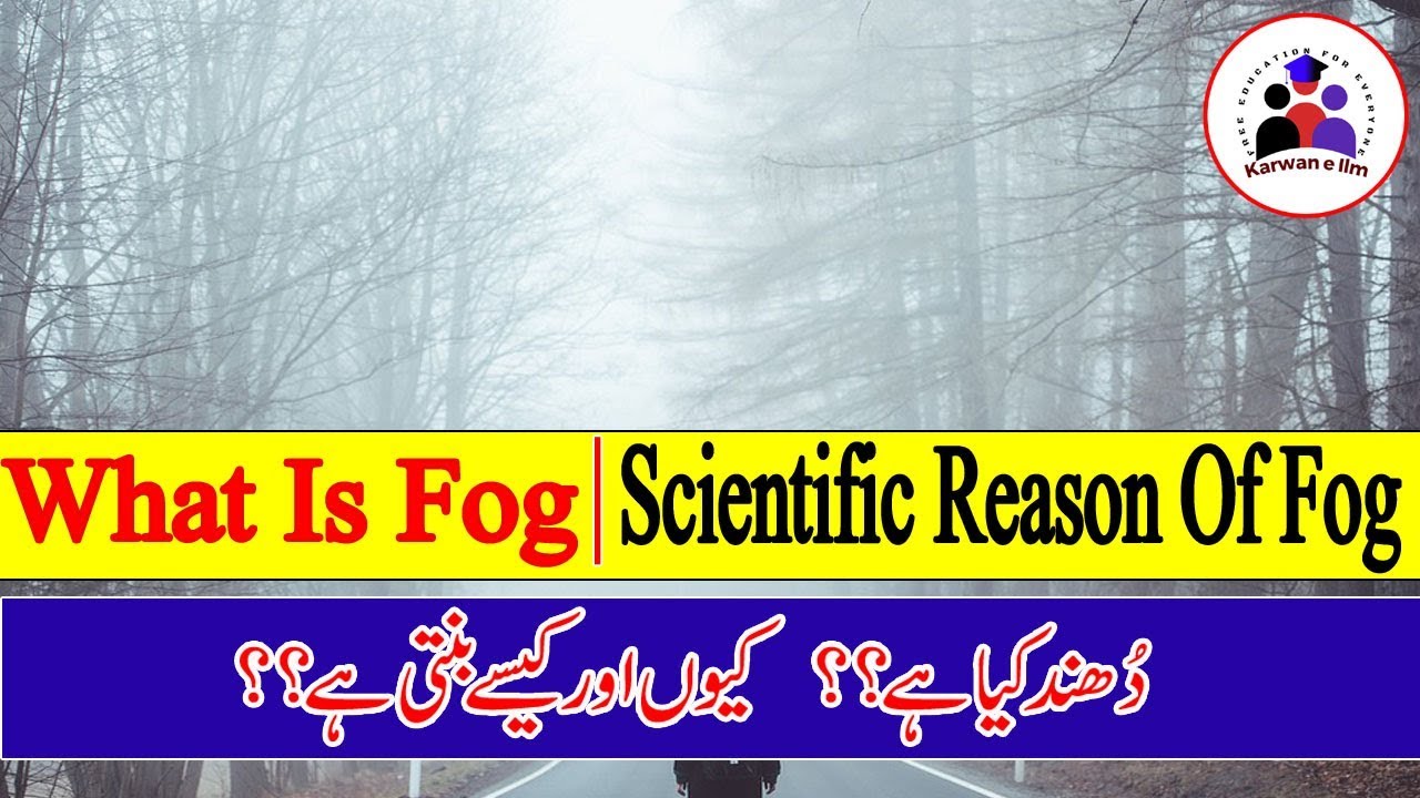 What Is Fog?|Science Behind Fog|Scientific reason behind fog|How fog is