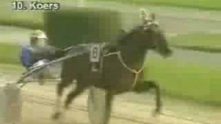 Download Lagu Senechal Limburgia - Cornelis Loman, Frisian Ascot Day W'ga MP3