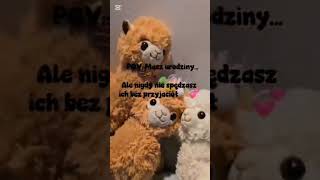 Popcorn ma urodziny 🥳💛#sundz#alpaki#fannyandcute #funnyandcute#viral