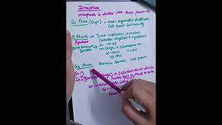 Interphase cell cycle and cell division class11 NEET2026 CUET2026 direct ncert questions 