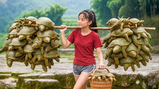 Deep in The Jungle: Harvesting 1000 Soft-Shell Turtles and Giant Frogs – Selling at The Market screenshot 2