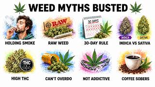 The Craziest Weed Myths People Actually Believe