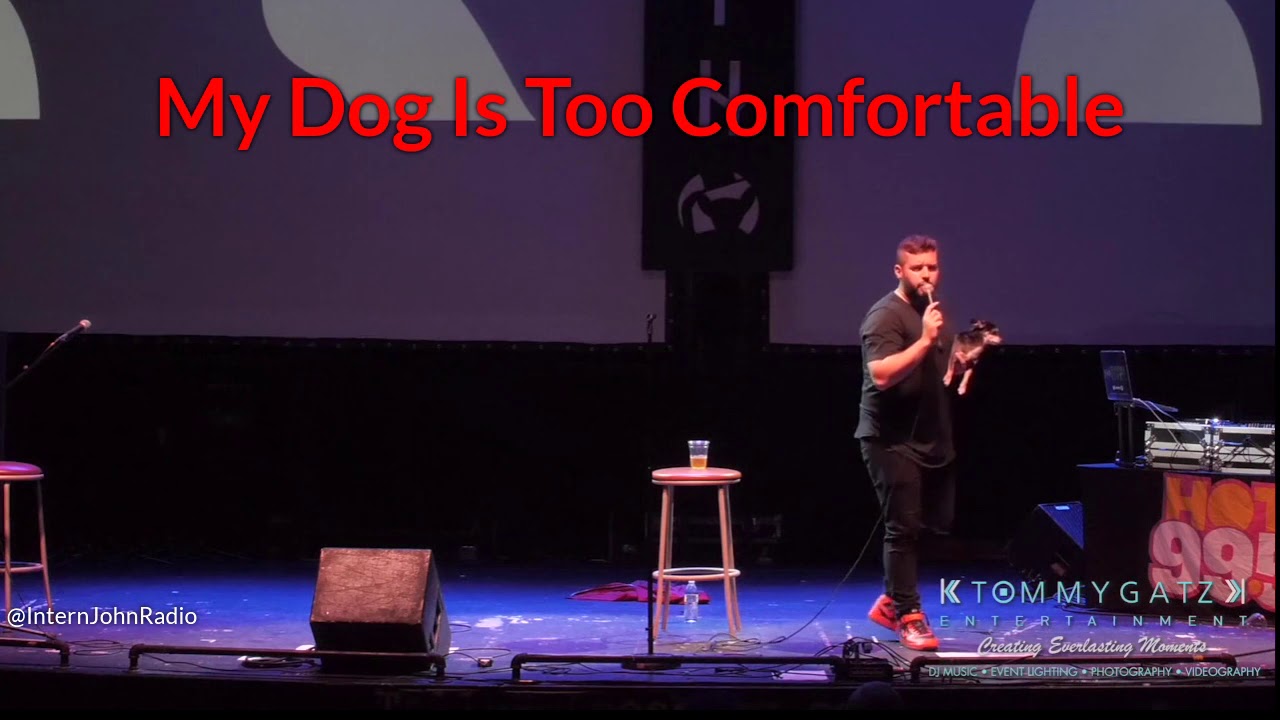 My Dog Is Too Comfortable Intern John Standup Comedy YouTube