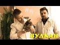 Научные нубы - &quot;вулкан&quot;