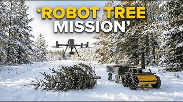 Robots on a Winter Mission: Cutting and Delivering a Tree