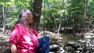 Meeting the Witch Hazel Tree in the Woods with Susun Weed