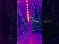 Холодильна камера через тепловізор Flir ONE PRO