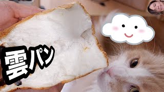 【超簡単】雲パン作ったホイ!!  　PDS