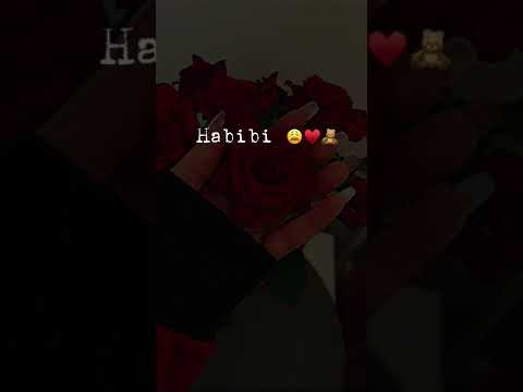 اغنية واريدك يا غالي نور الزين