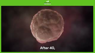 Don't Let Age Slow You Down | Stem Cell Restore | Green Valley Naturals