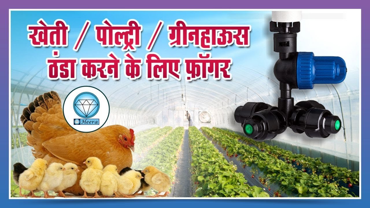 For Cooling in agriculture / Polyhouse / Greenhouse Heera Fogger