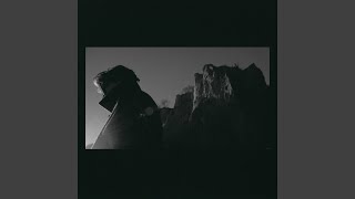 orchid - livingthing