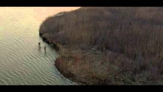 Landscape 01