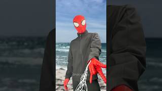 Never Stomp On Spiders