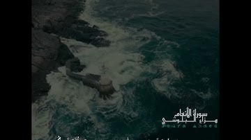 وما من دابة في الأرض 🌍 ♥️سورة الأنعام_ هزاع البلوشي