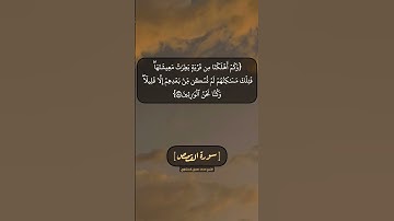 سورة القصص الآية ٥٧ و ٥٨ بصوت الشيخ محمد صديق المنشاوي