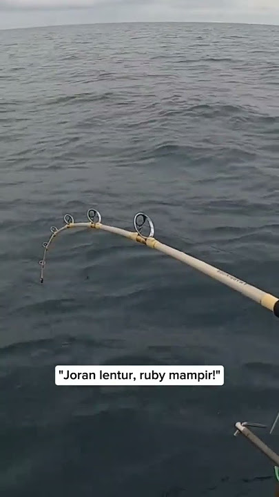 Joran lentur, Ruby Mampir!!?, #storywa #fishing #macingdasaran #mancingmantap #storywa