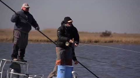 Watch a Fly Fishing Cast in Slow Motion
