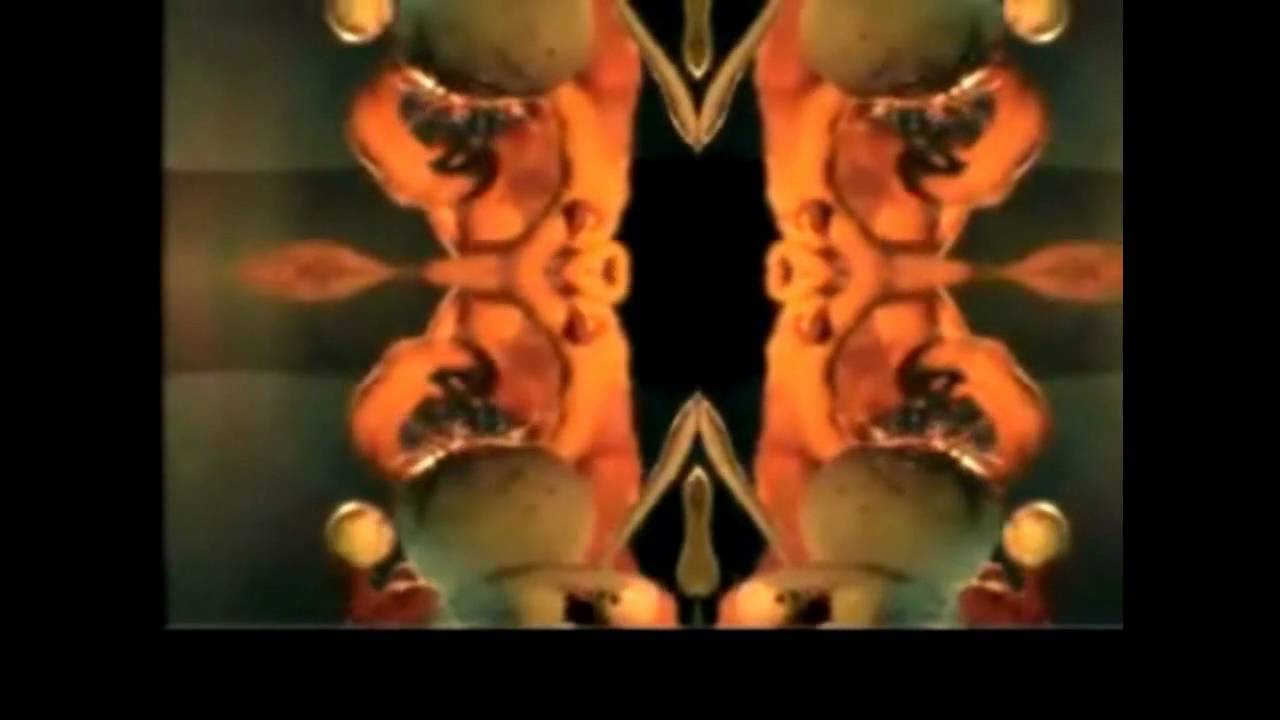 Mourning Glory - Ween MUSIC VIDEO