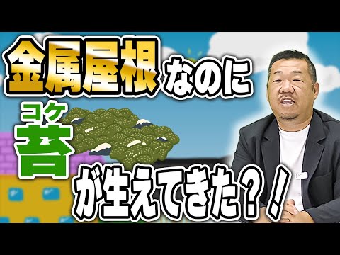 金属屋根にも塗装が必要です
