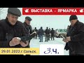 (16+) 3.ч. 💥 Выставка - Ярмарка Голубей 💥 Г. Сальск. Ростовская обл. 29.01.2022.г. 🎥🇷🇺🕊️.