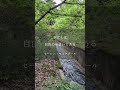 読む瞑想 #マインドフルネス #瞑想 #名言 #不安 #自由
