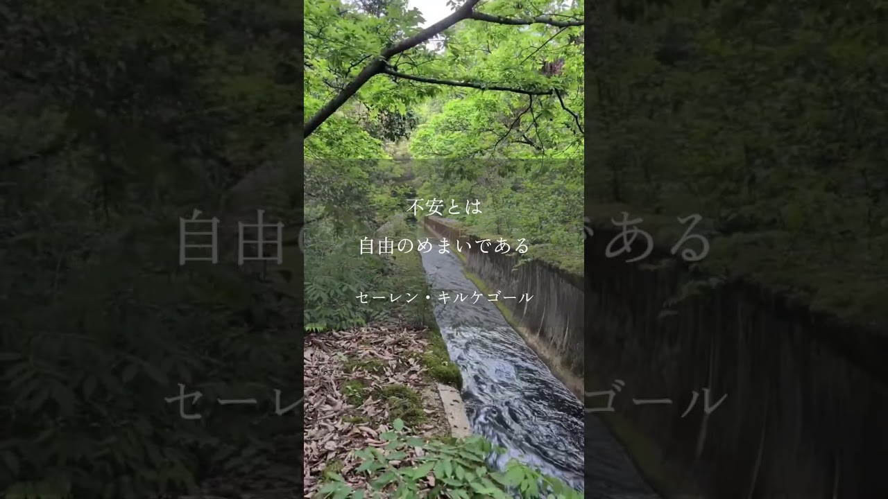 読む瞑想 #マインドフルネス #瞑想 #名言 #不安 #自由