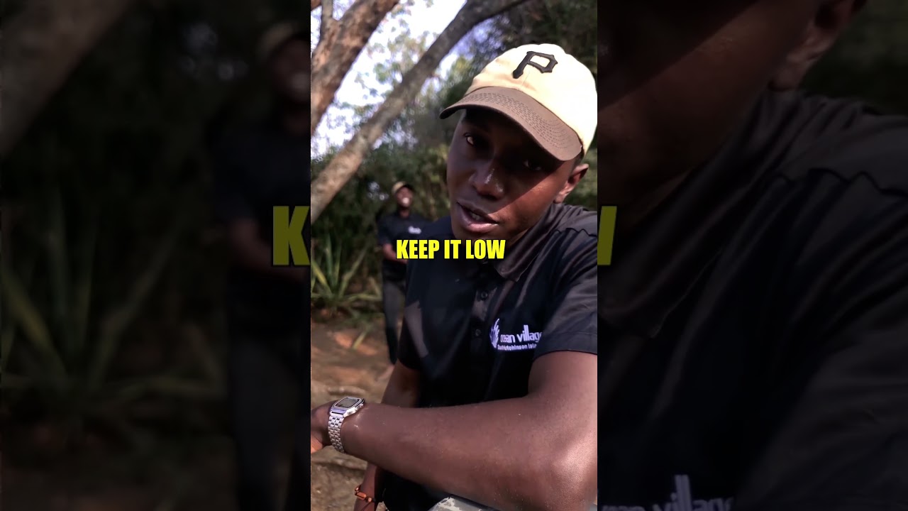 Watch Official audio on this channel "Octie" 🔥, don't forget to subscribe. #octie #keepitlow #zimhiphop on YouTube Watch Official audio on this channel "Octie" 🔥, don't forget to subscribe. #octie #keepitlow #zimhiphop on YouTube