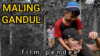 GARA-GARA GANDUL feat Lambe Ngapak TV || Film pendek ngapak