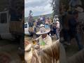Cabalgata en el rancho tamborazo #caballos #viral #horse #tamborazo