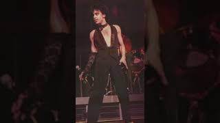 Private Joy (Bloomington, MN 3-7-82) - Prince