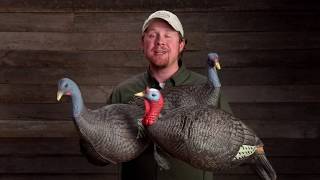 RedHead Foam Turkey Decoys screenshot 4