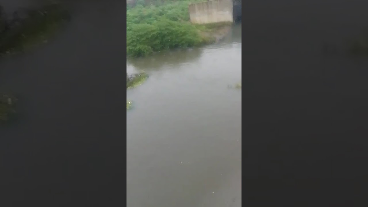 Heavy Rainfall in Chennai, India | Koovam River @saidapet Monsoon 2025 Footage part 2
