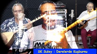 Derelerde Kuşburnu Resimi