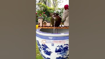 Máy bơm thiết kế đài phun nước mini tiểu cảnh sân vườn chậu lu cảnh #cacanh #tieucanh #lucanh