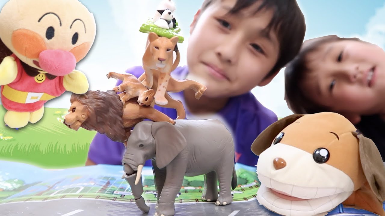 アニア ライオン アフリカゾウ＆トミカの動物運搬車 はみがきわんわん登場【かとちゃん】 - YouTube