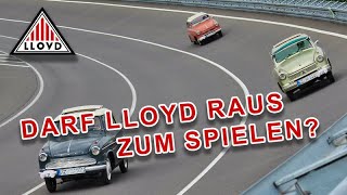 Darf Lloyd raus zum Spielen?