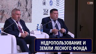 Дискуссионная площадка «Правовые проблемы недропользования на землях лесного фонда»