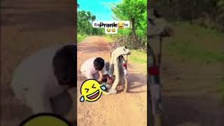 cycle prank #funny #comedy #prankwars #brotherhood #foryou #fyp #usayoutube